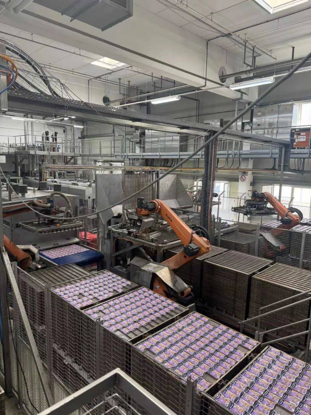 食品市场百年德企开启中国式新战略开元棋牌用德国品质赋能中国宠物(图6)