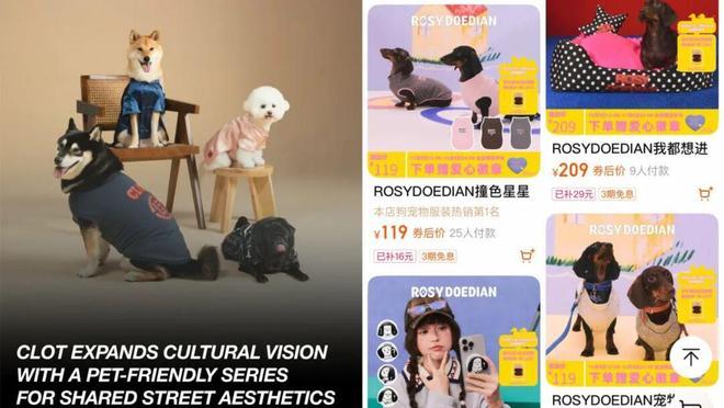 大市场赵露思、陈冠希纷纷加入开元棋牌试玩