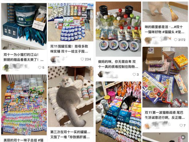 大市场赵露思、陈冠希纷纷加入开元棋牌试玩3000亿猫狗(图3)